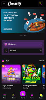 Secure Access with Casiny Login Your Gateway to Exciting Gaming